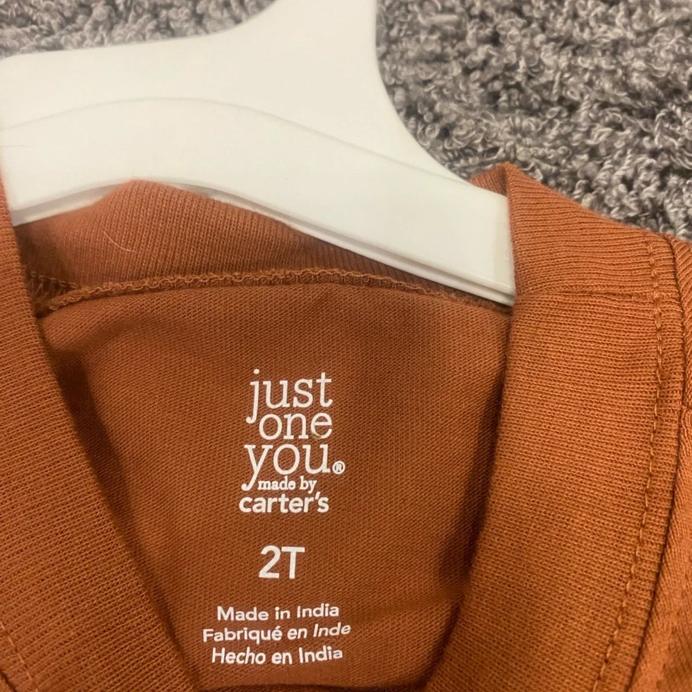 Carter's Two-Tone Rust and Peach Lion Outfit Set